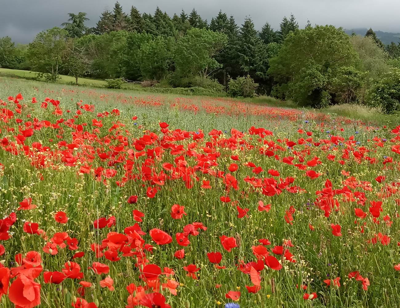 Natura 2000 - Les alentours - La villa des Raspes-photo-gallery