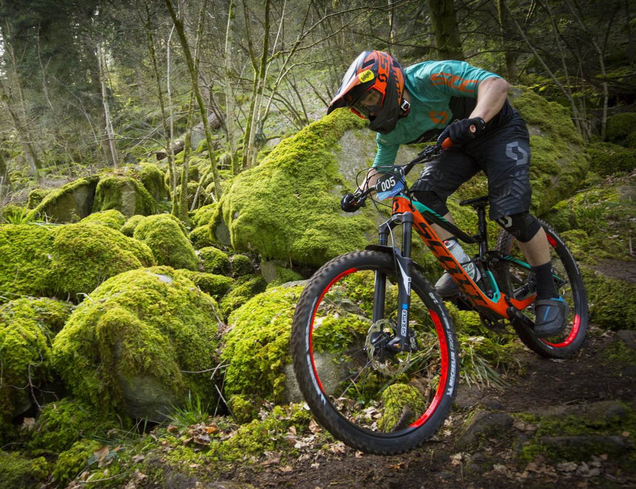 Session en forêt-photo-news