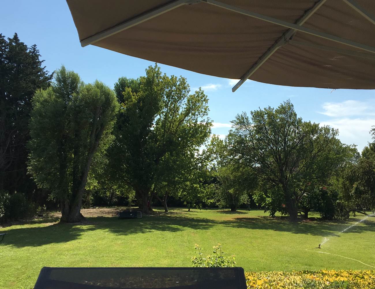 71D18852-0AFA-48CA-9A59-768F856663EF-photo-gallery