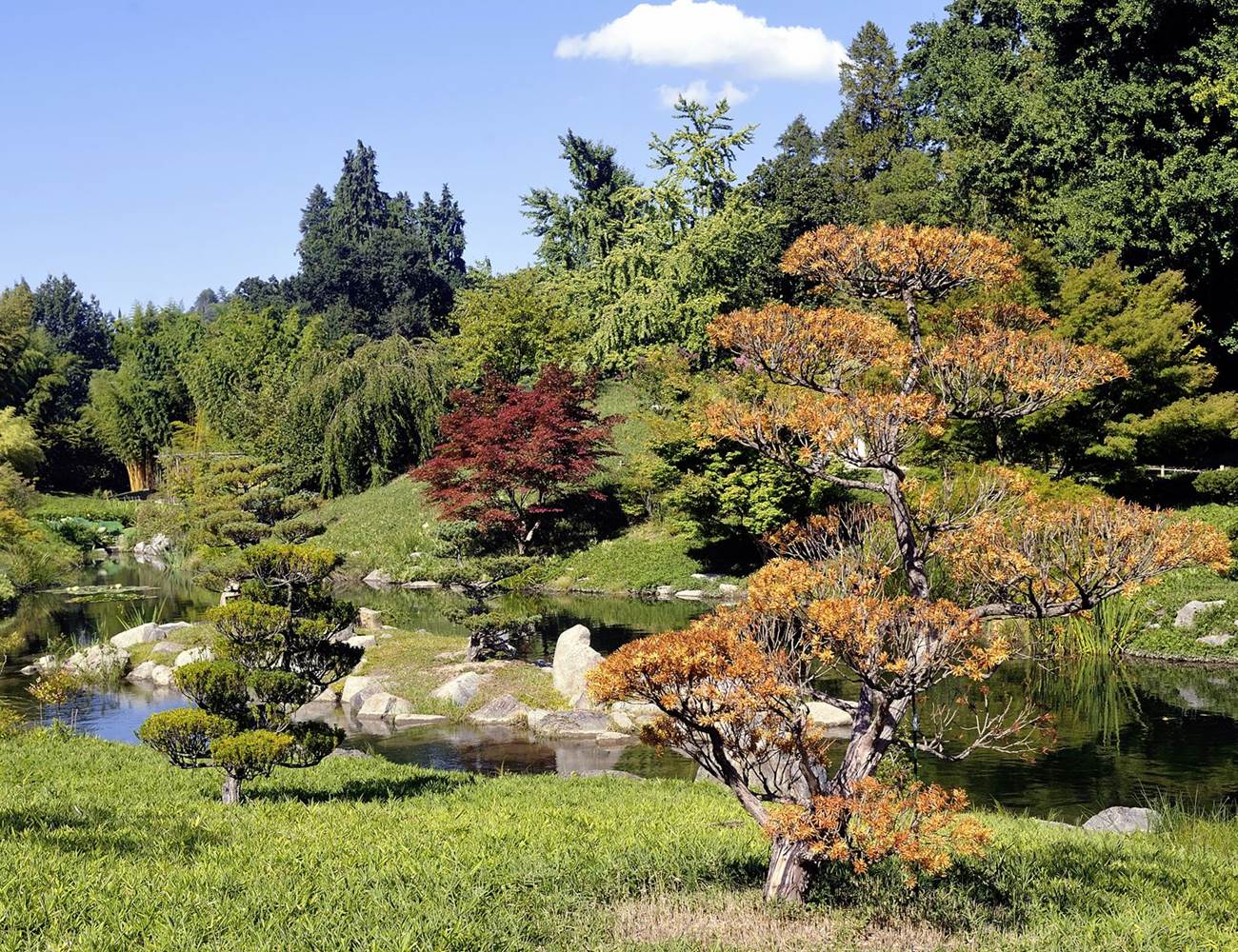 Le Jradin japonais à la Bambouseraie d'Anduze
