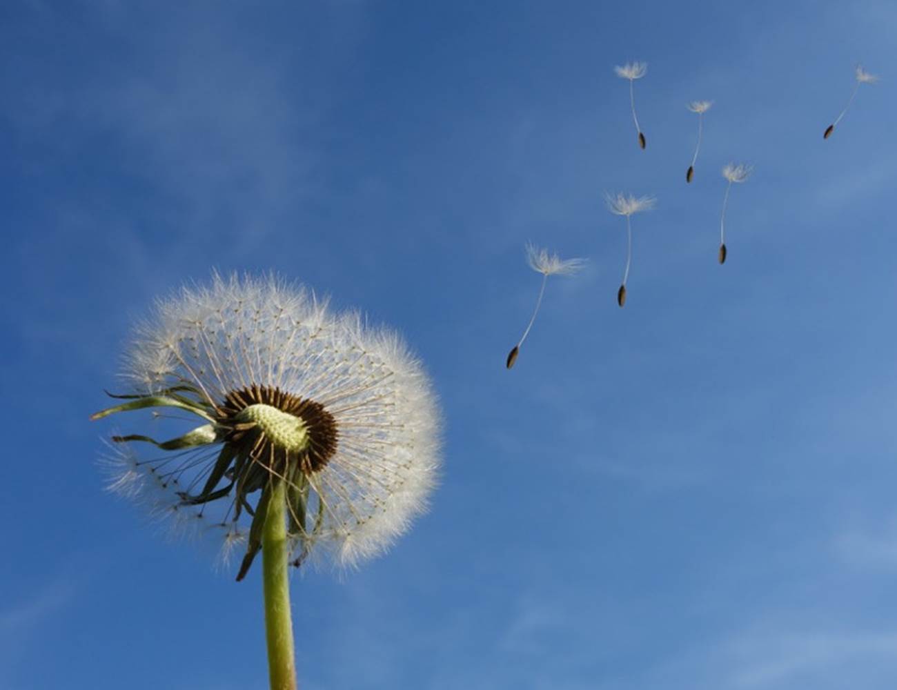 tempImage1CNHQx-photo-gallery