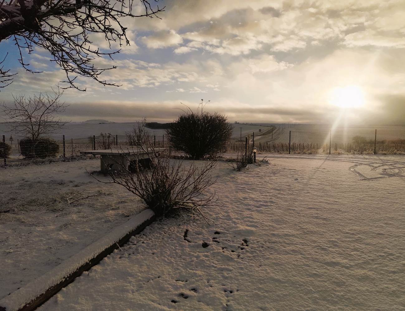 IMG_20260103_091152-photo-gallery