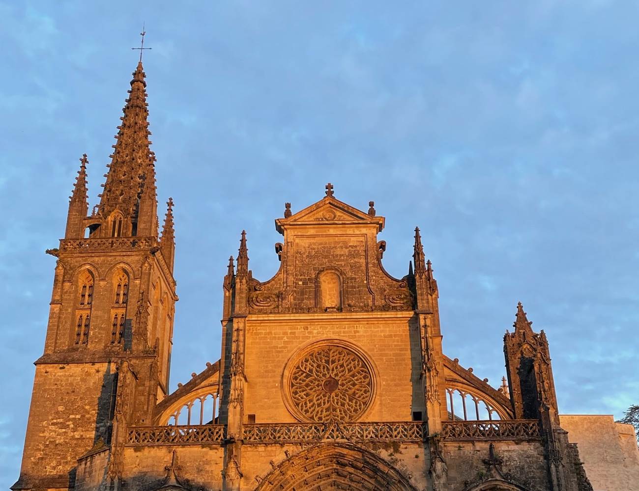 Cathédrale Saint Jean Baptiste-photo-gallery