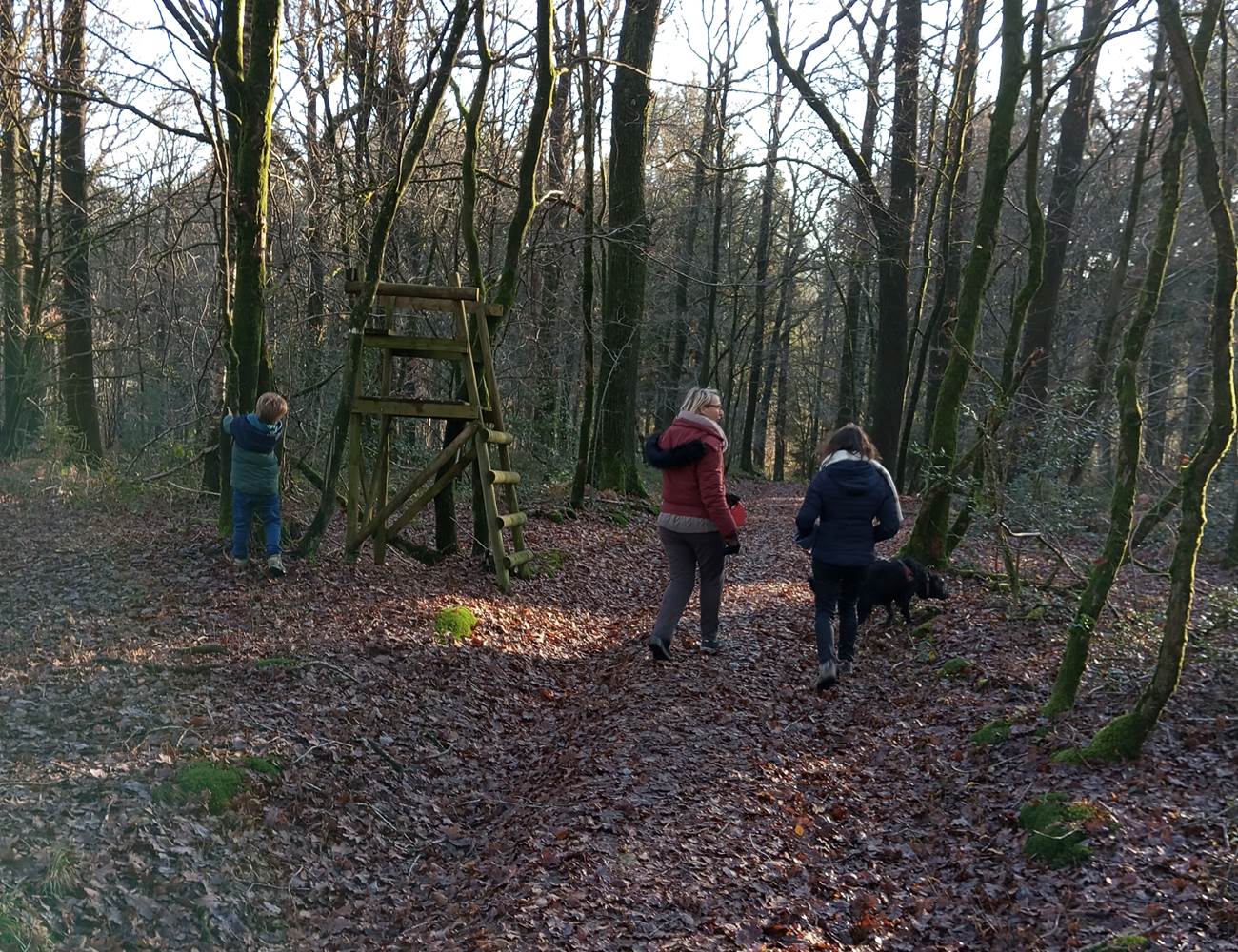 sentier de randonnée au pied du gîte- La demoiselle ô bois