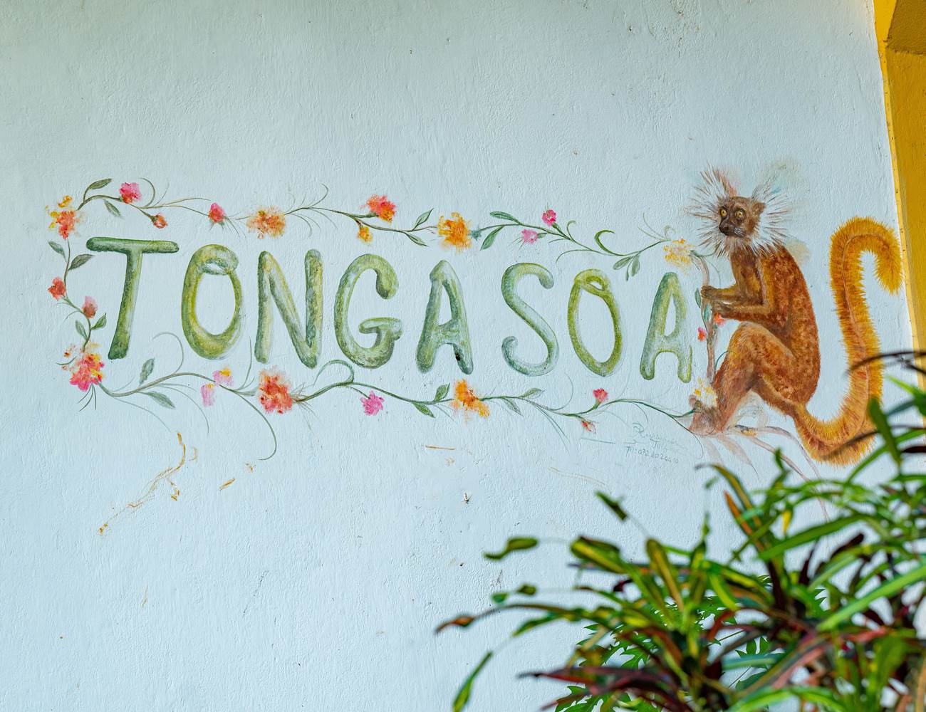 Bienvenue chez Rofia lodge-photo-page