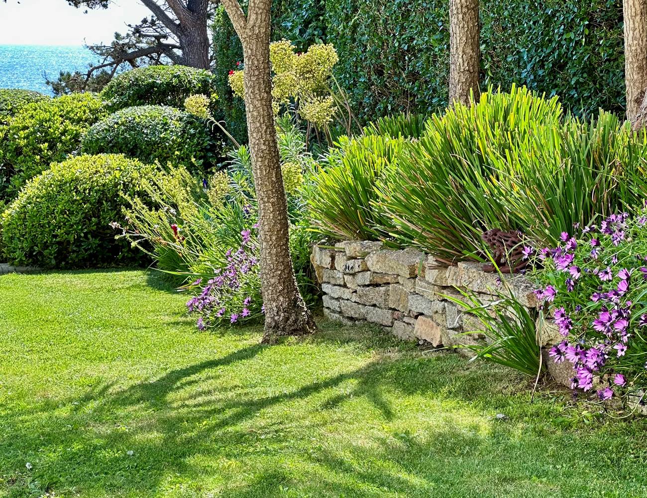 IMG_5132-photo-gallery