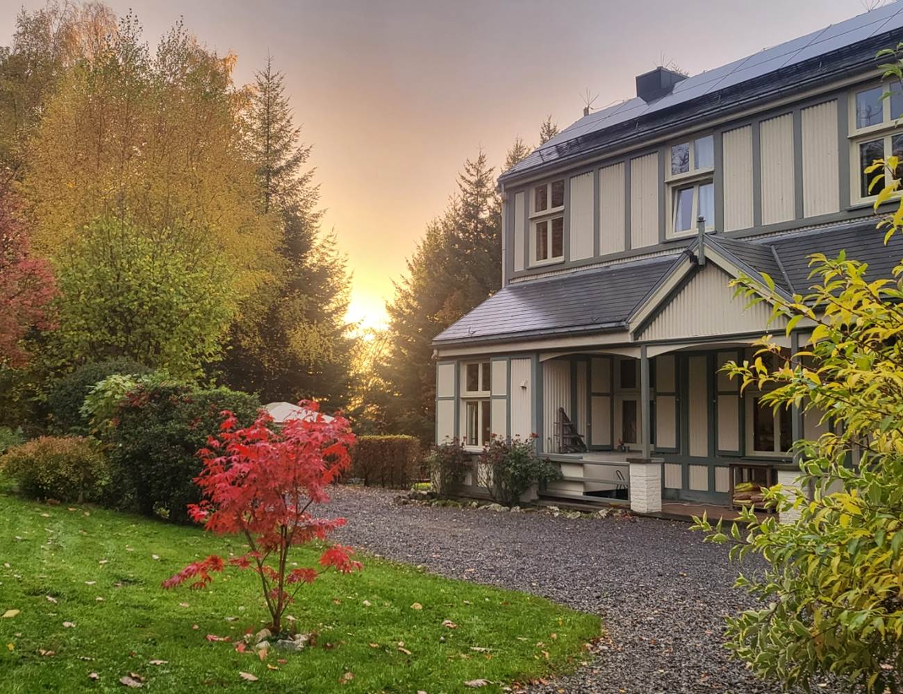 20251101_165344-photo-gallery