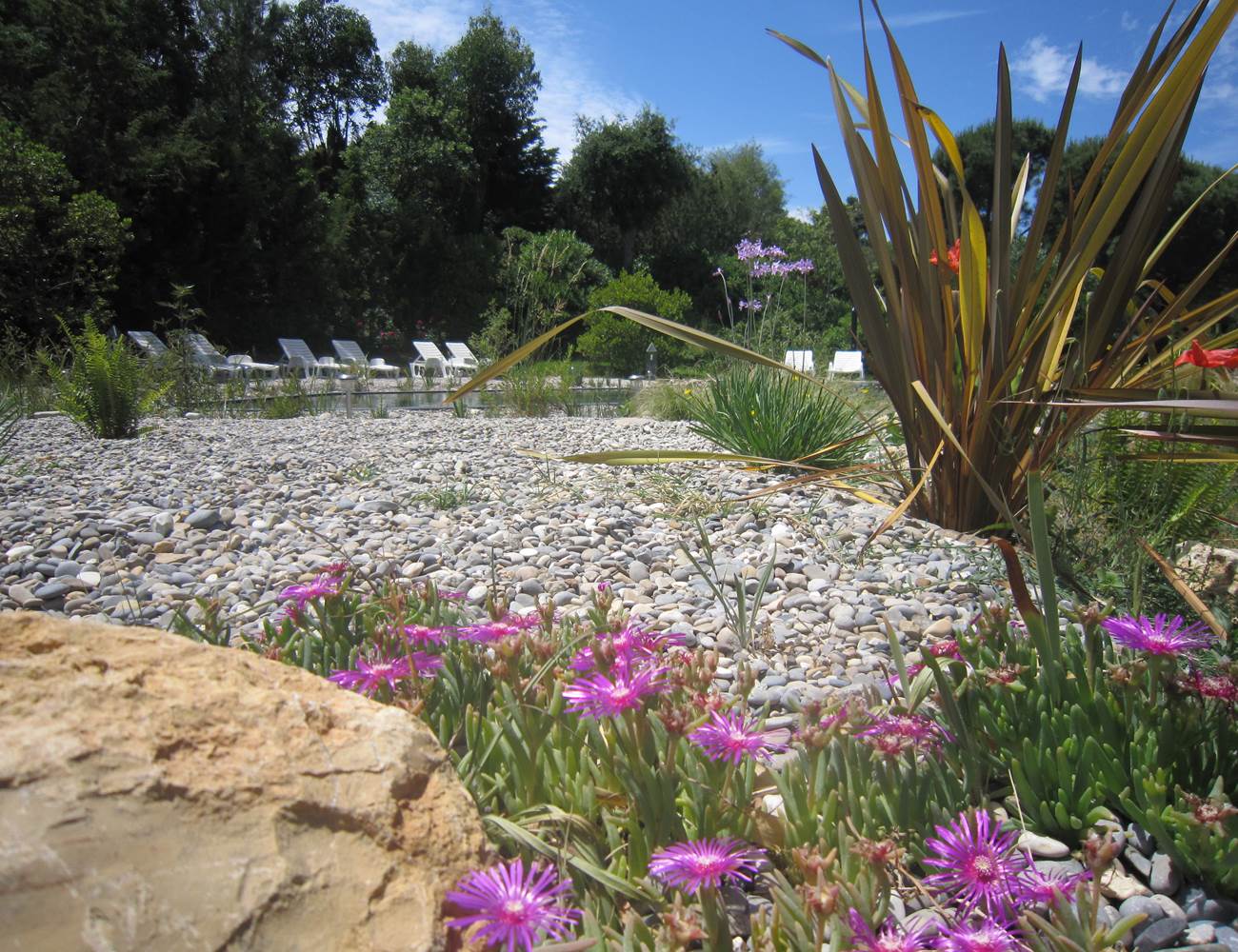 autour de la baignade