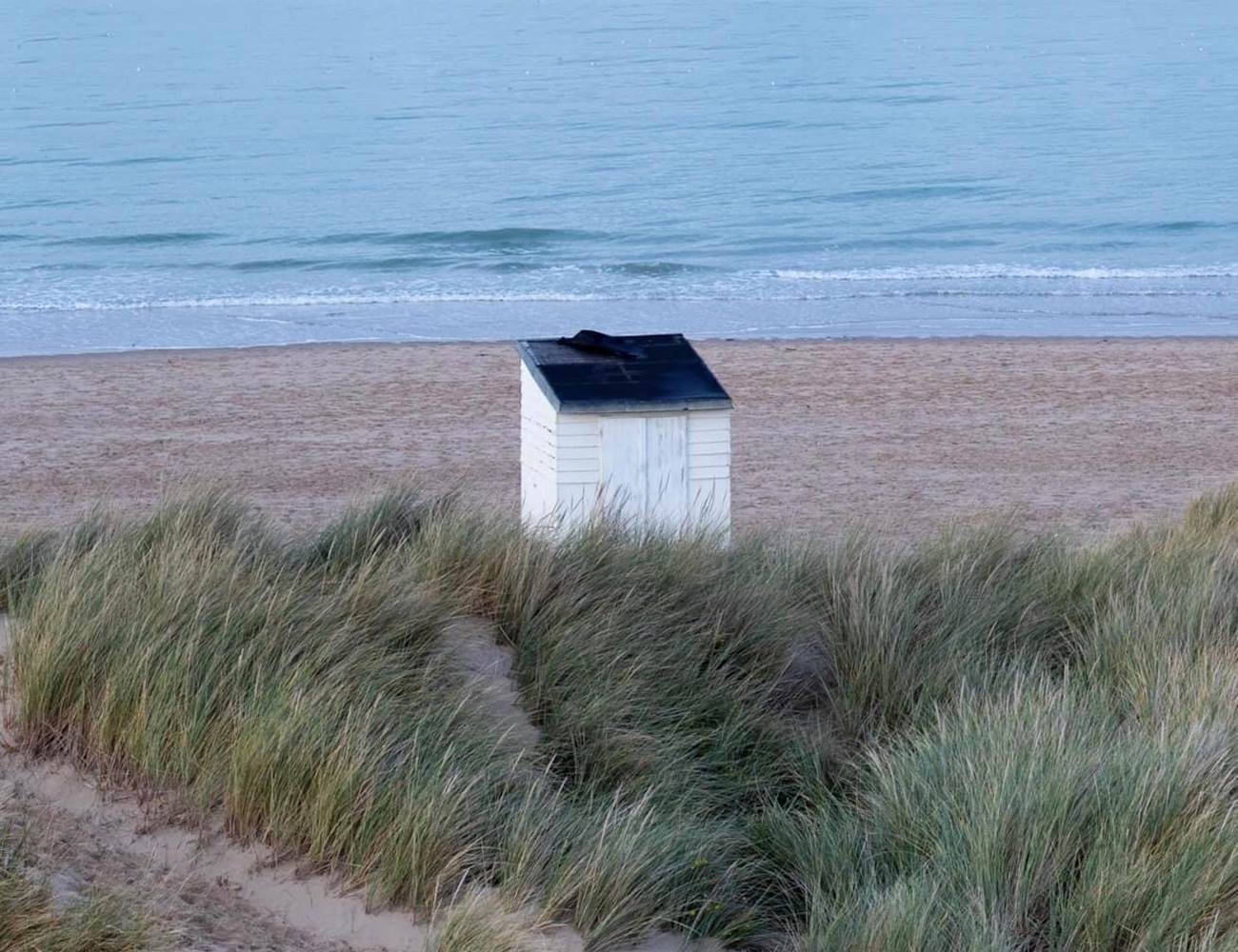 IMG_8811-photo-gallery