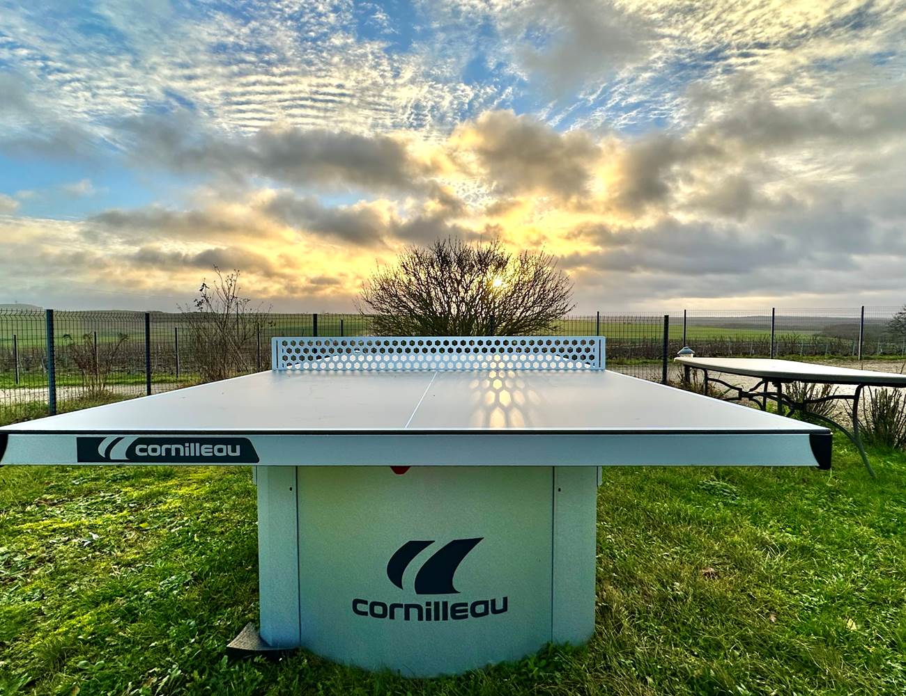 ping pong 3-photo-gallery