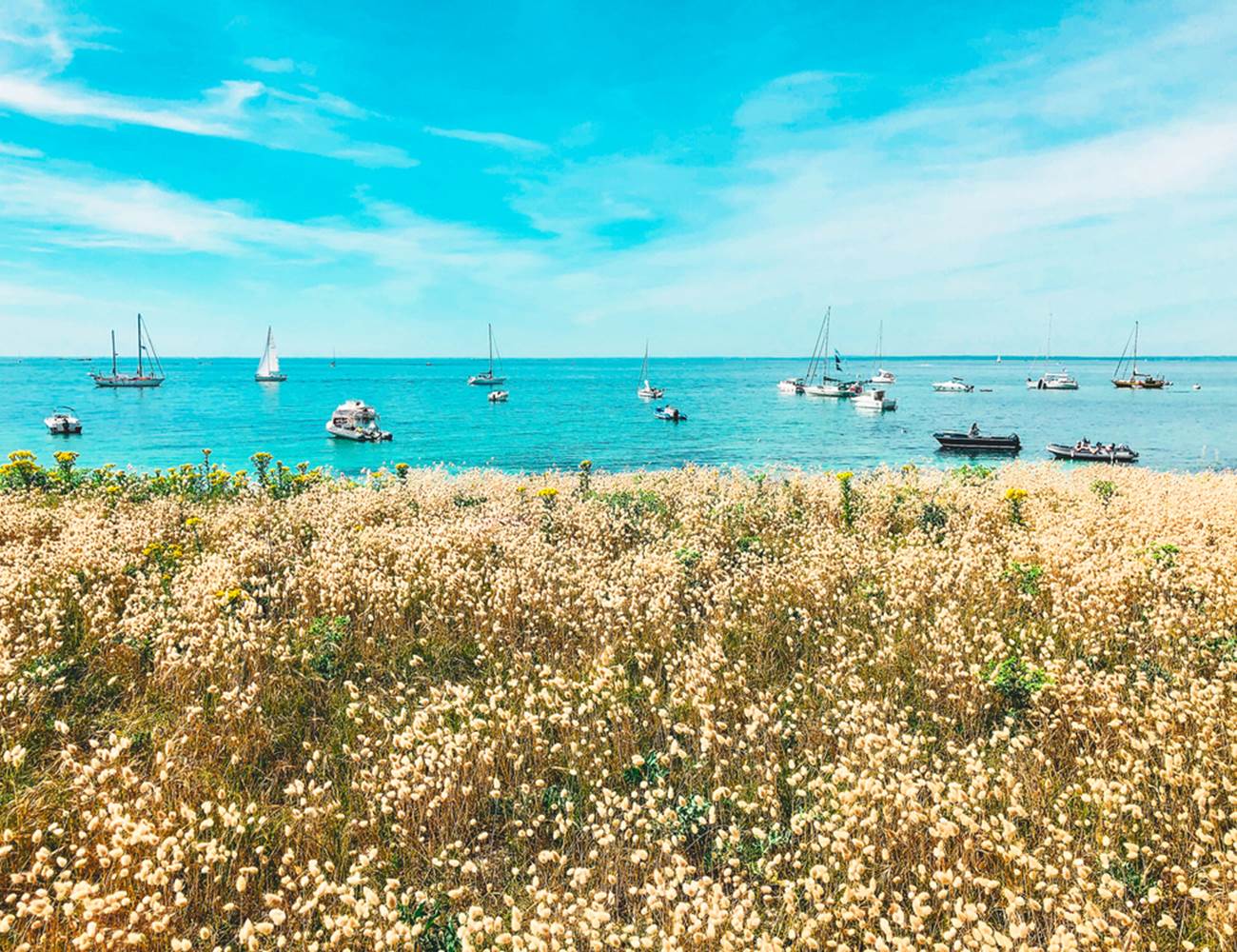 Île de Penfret les Glénan Fouesnant-photo-page