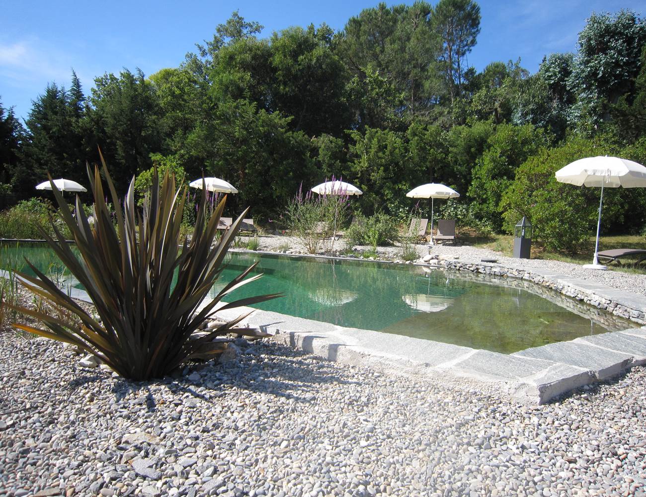la baignade naturelle de la villa les hespérides à grimaud