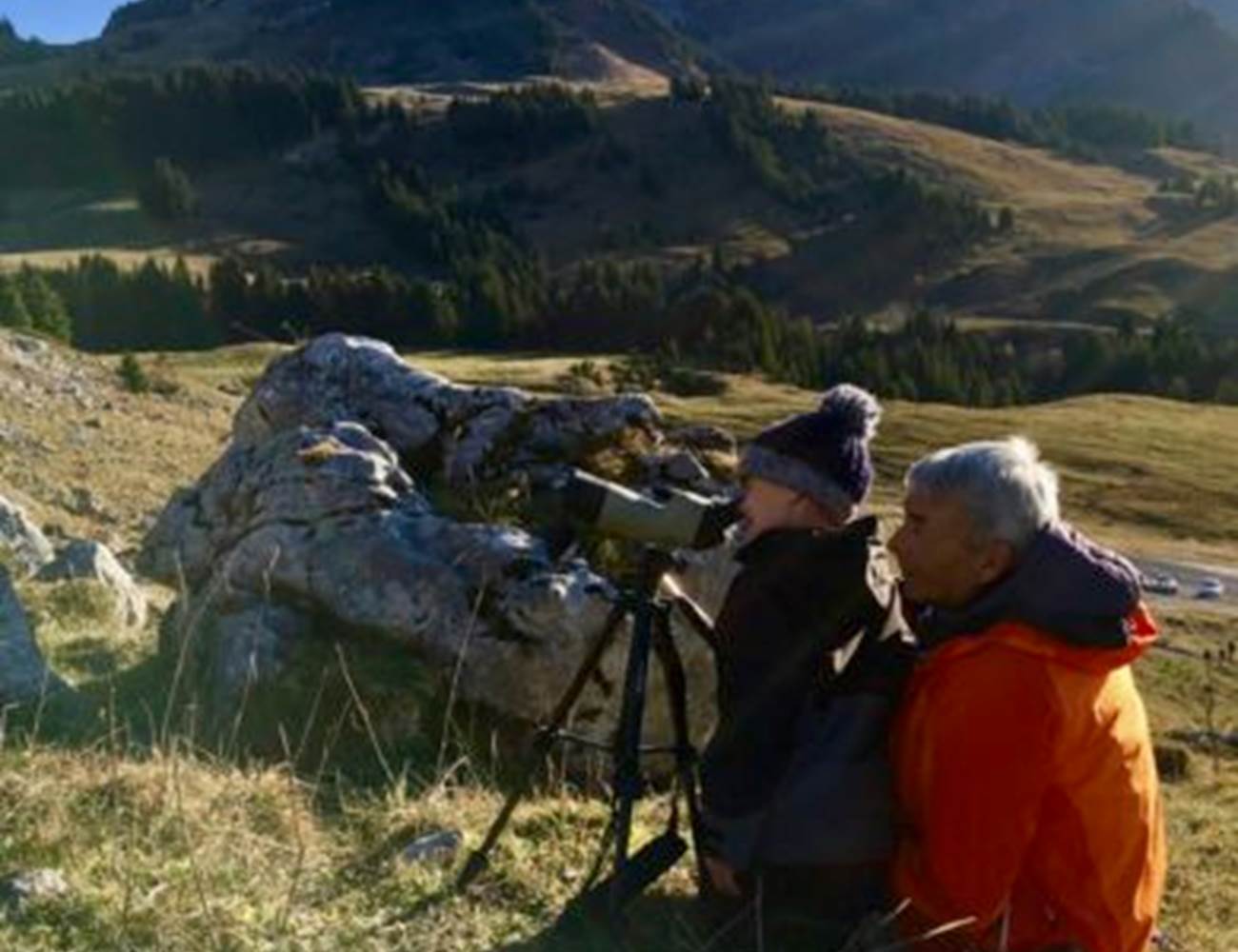 Toutes les activités