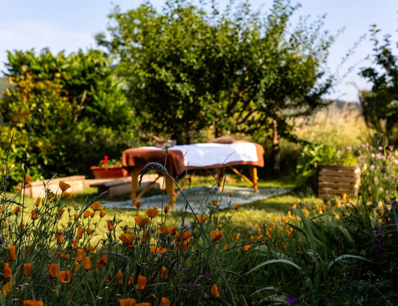 Bien être et Massage - Espace nature-photo-gallery