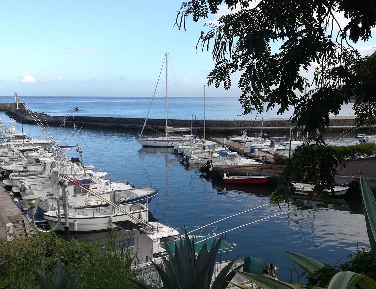 port de plaisance-photo-gallery