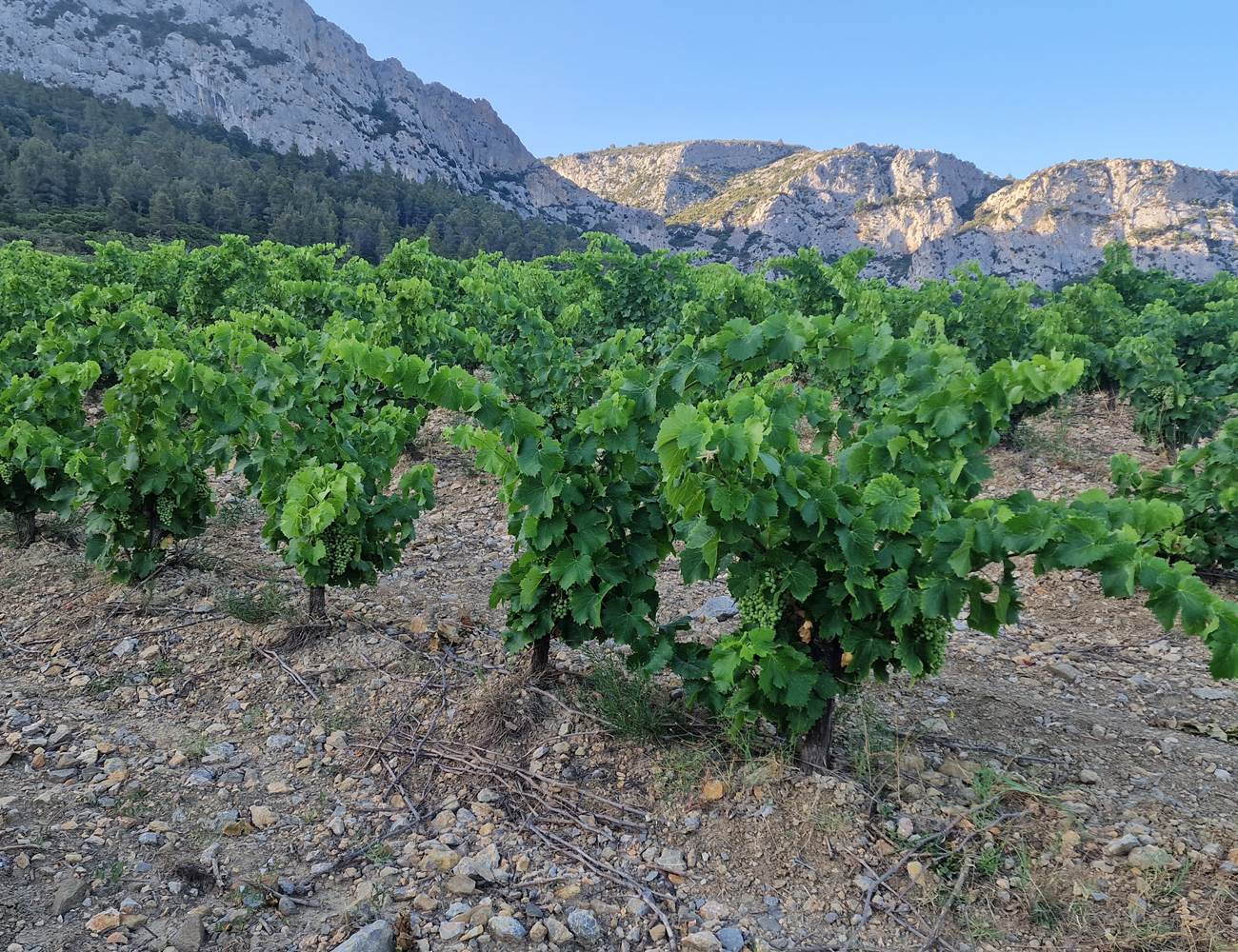 20230709_075934-min-photo-gallery