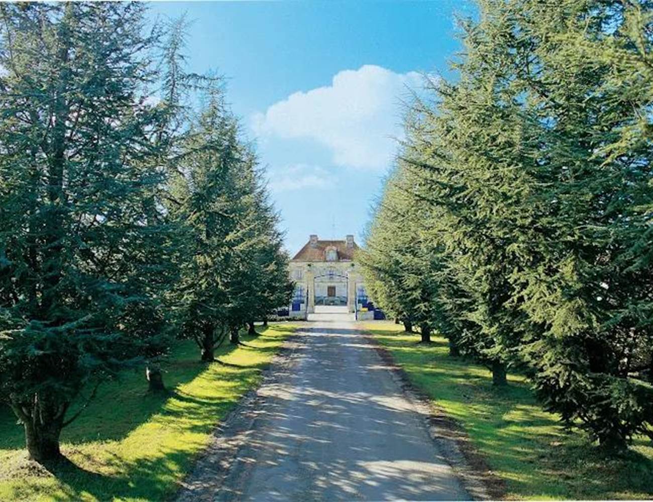 Domaine de Bellevue-Vins et spiritueux-photo-page
