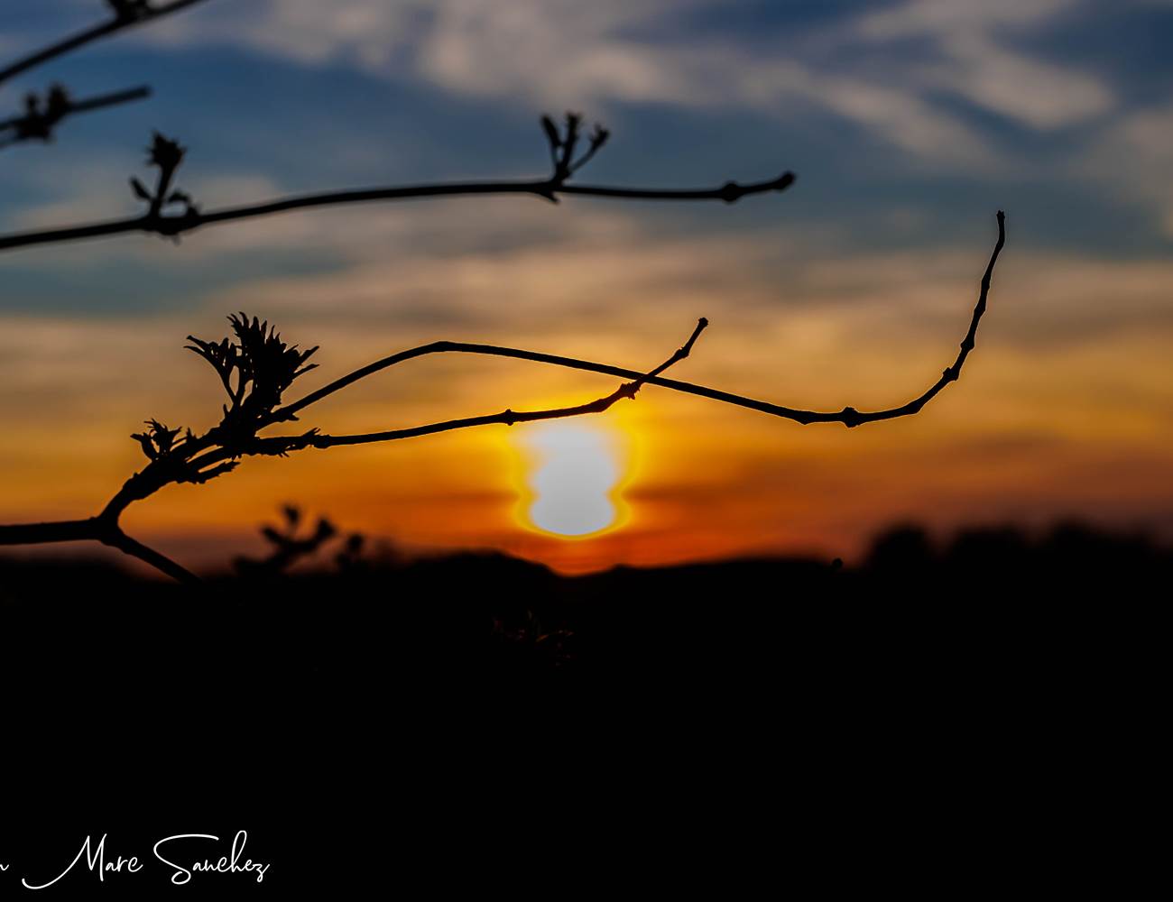 coucher de soleil sur les vignes