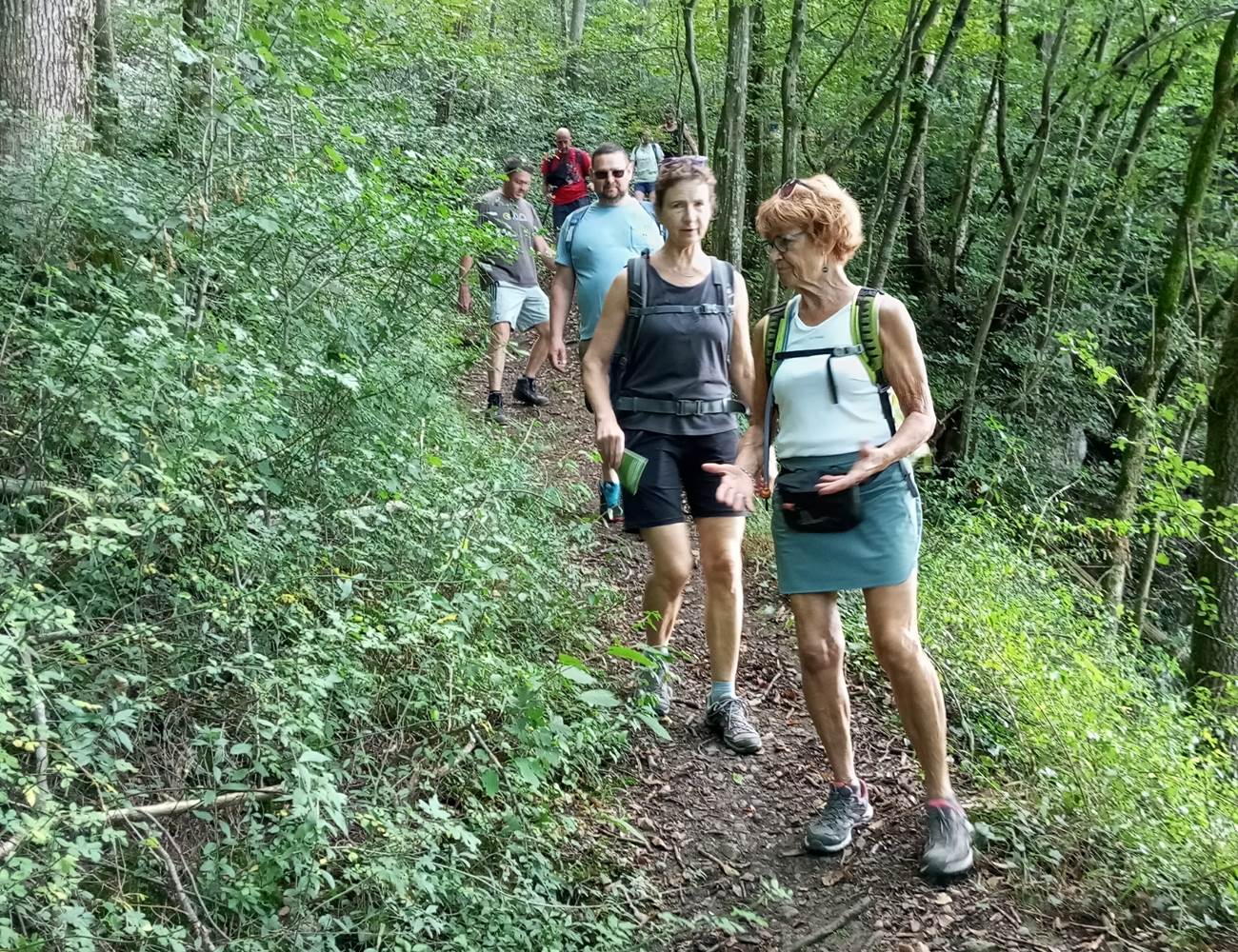 Balades découvertes animées par le Parc ESEM