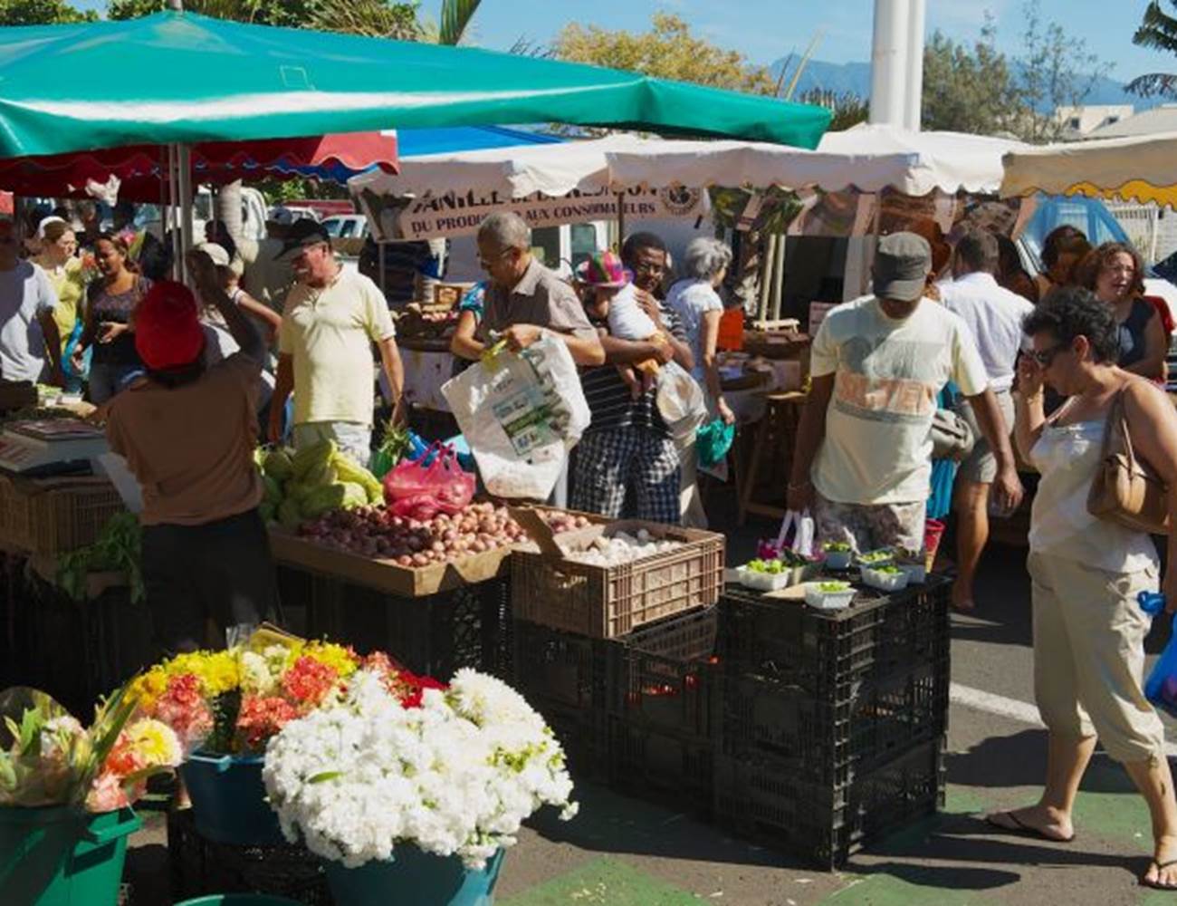 Marché des Camélias