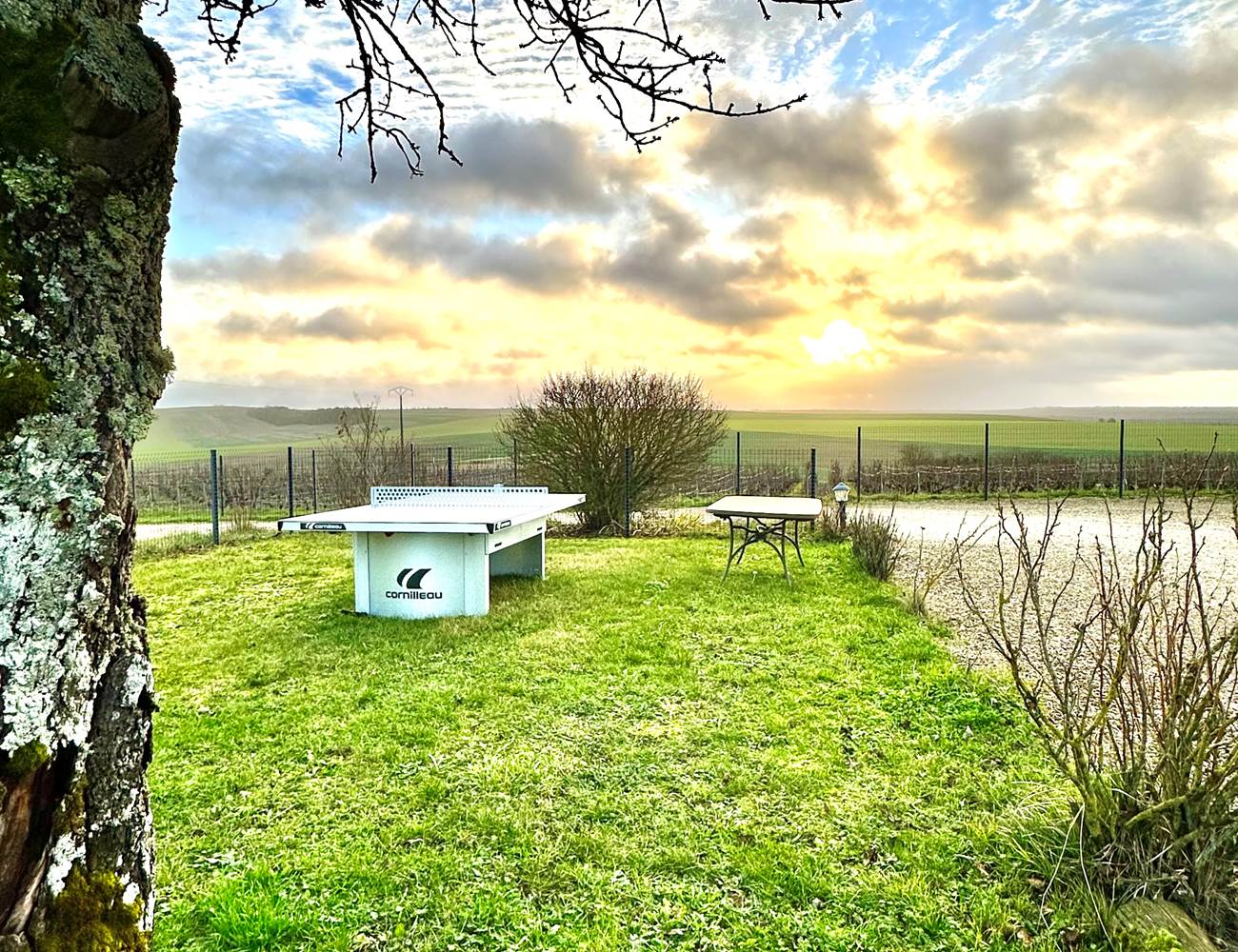 Ping pong 2-photo-gallery