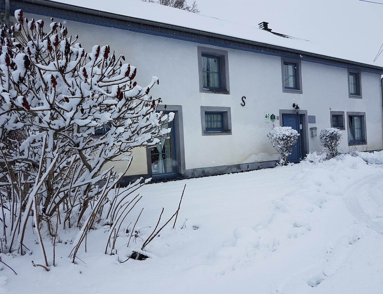Bienvenue aux Myosotis en hiver-photo-gallery