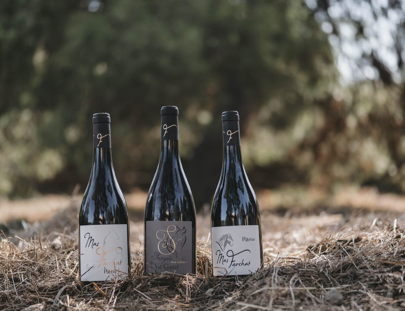 Les vins AOC Pézenas du Mas Farchat-photo-page