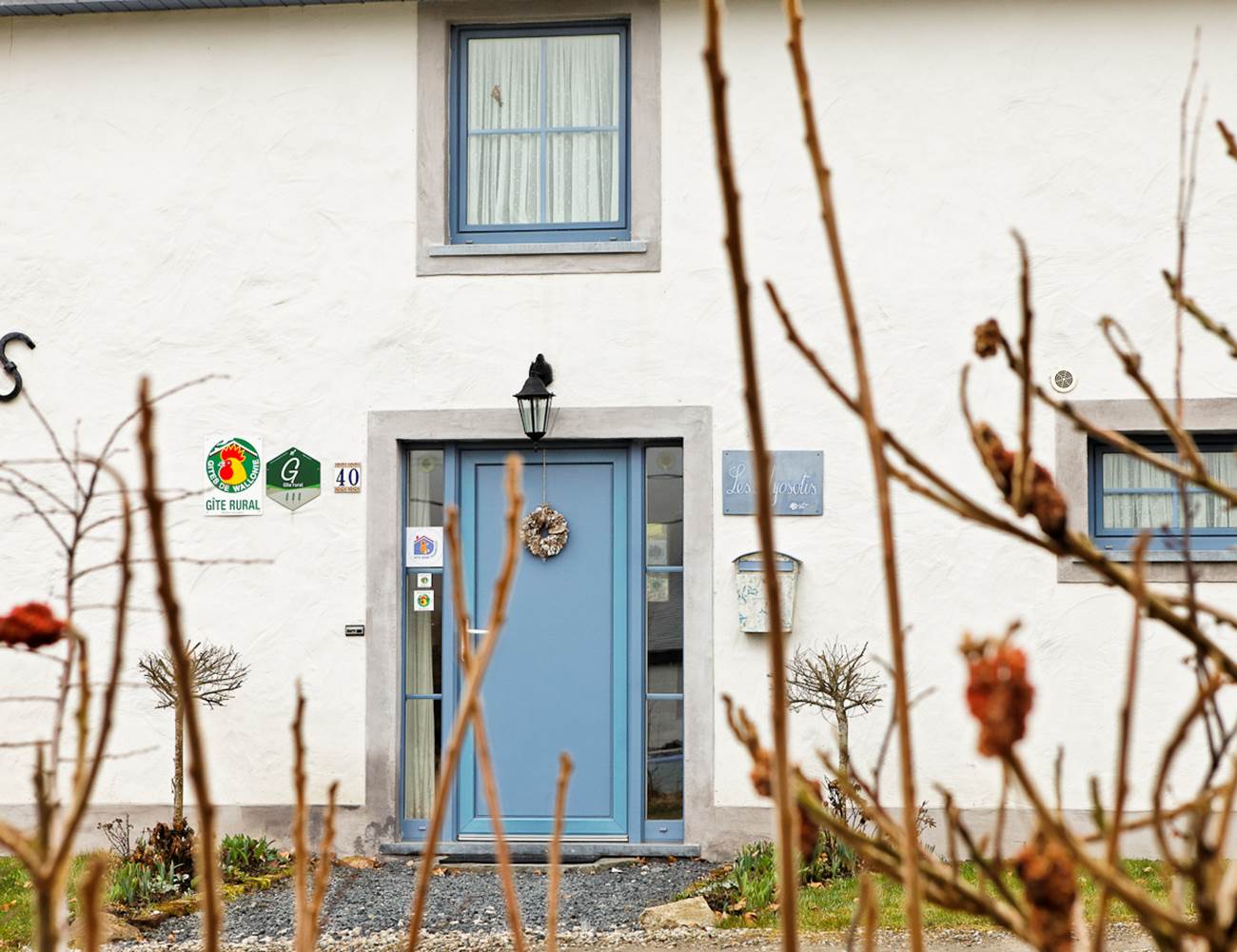 Bienvenue au gîte Myosotis Indigo Bastogne-photo-gallery