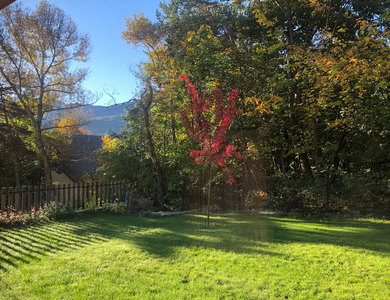 tempImage9y0ioU-photo-gallery