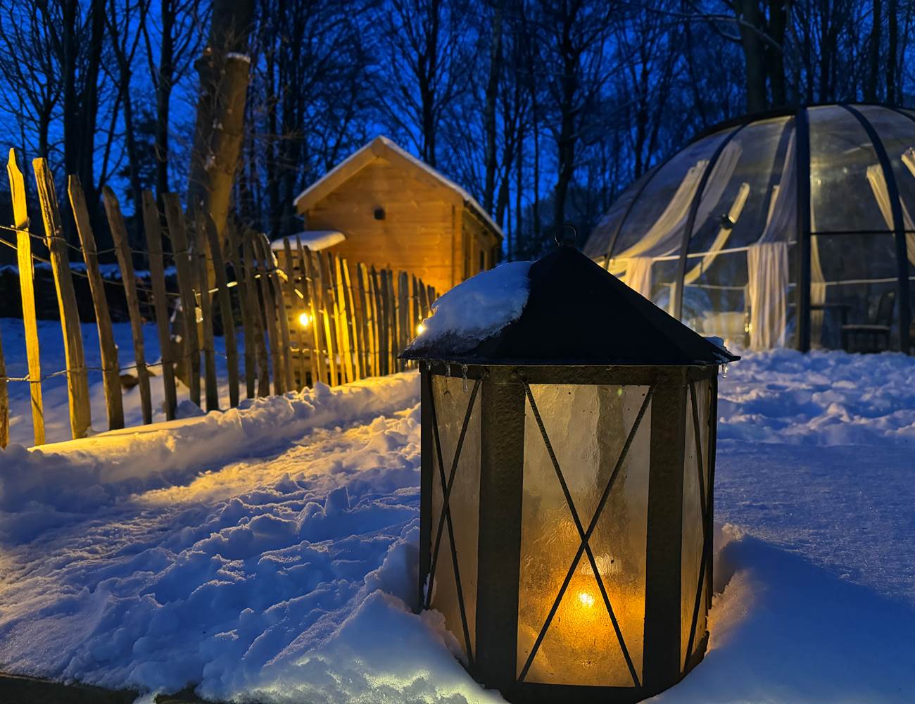 Happy winter-photo-gallery