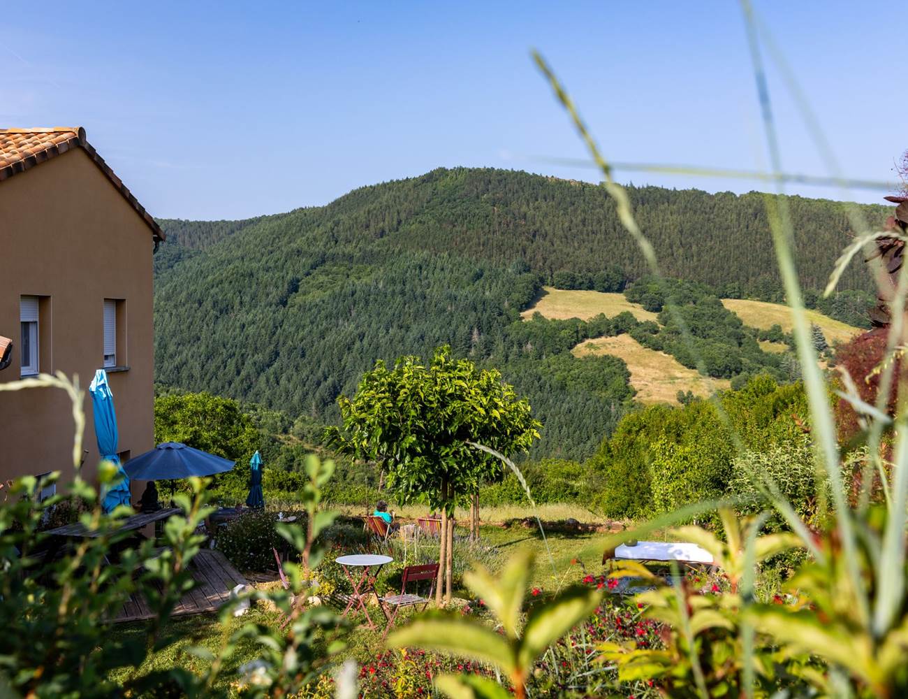 Vue d' ensemble  de La Villa Des Raspes au Printemps-photo-gallery