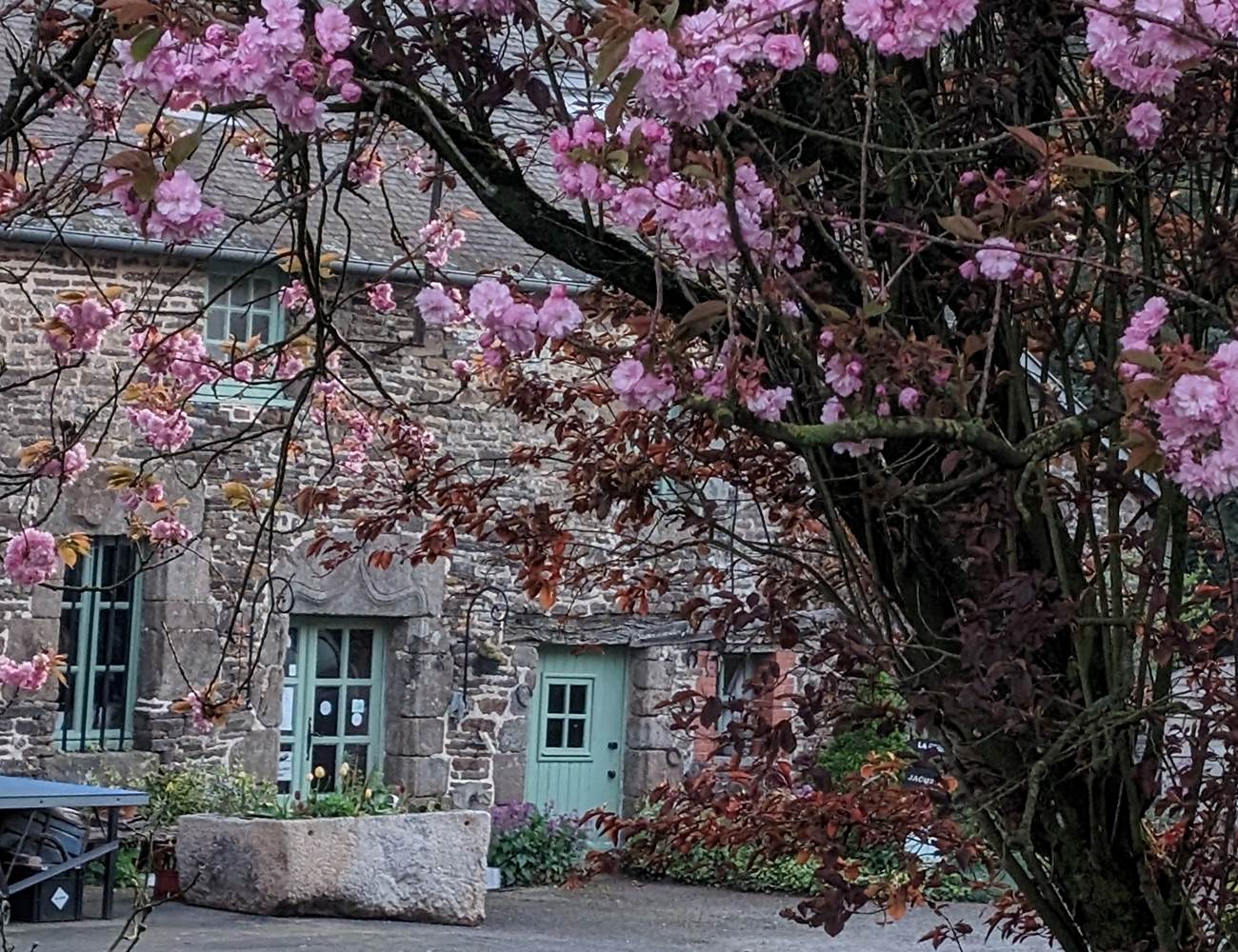 PXL_20240412_051226745-photo-gallery