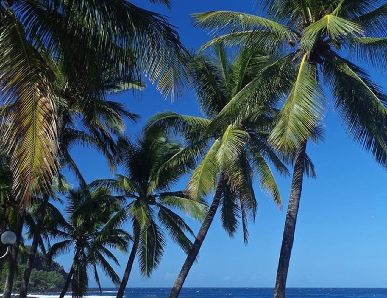 plage de grand anse-photo-gallery