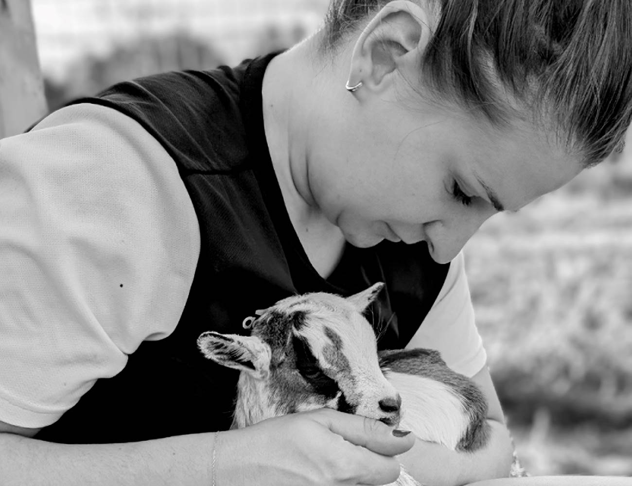 image(3)-photo-gallery