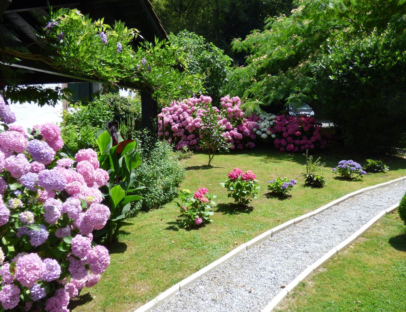les hortensias de ttakoinenborda-photo-gallery