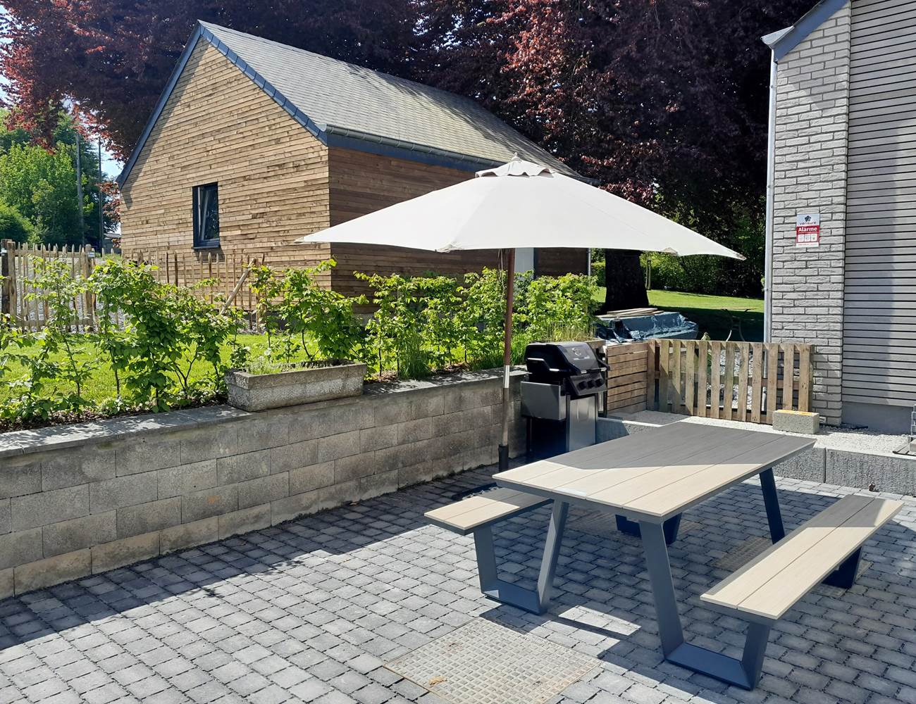 La terrasse extérieure avec BBQ au gaz-photo-gallery