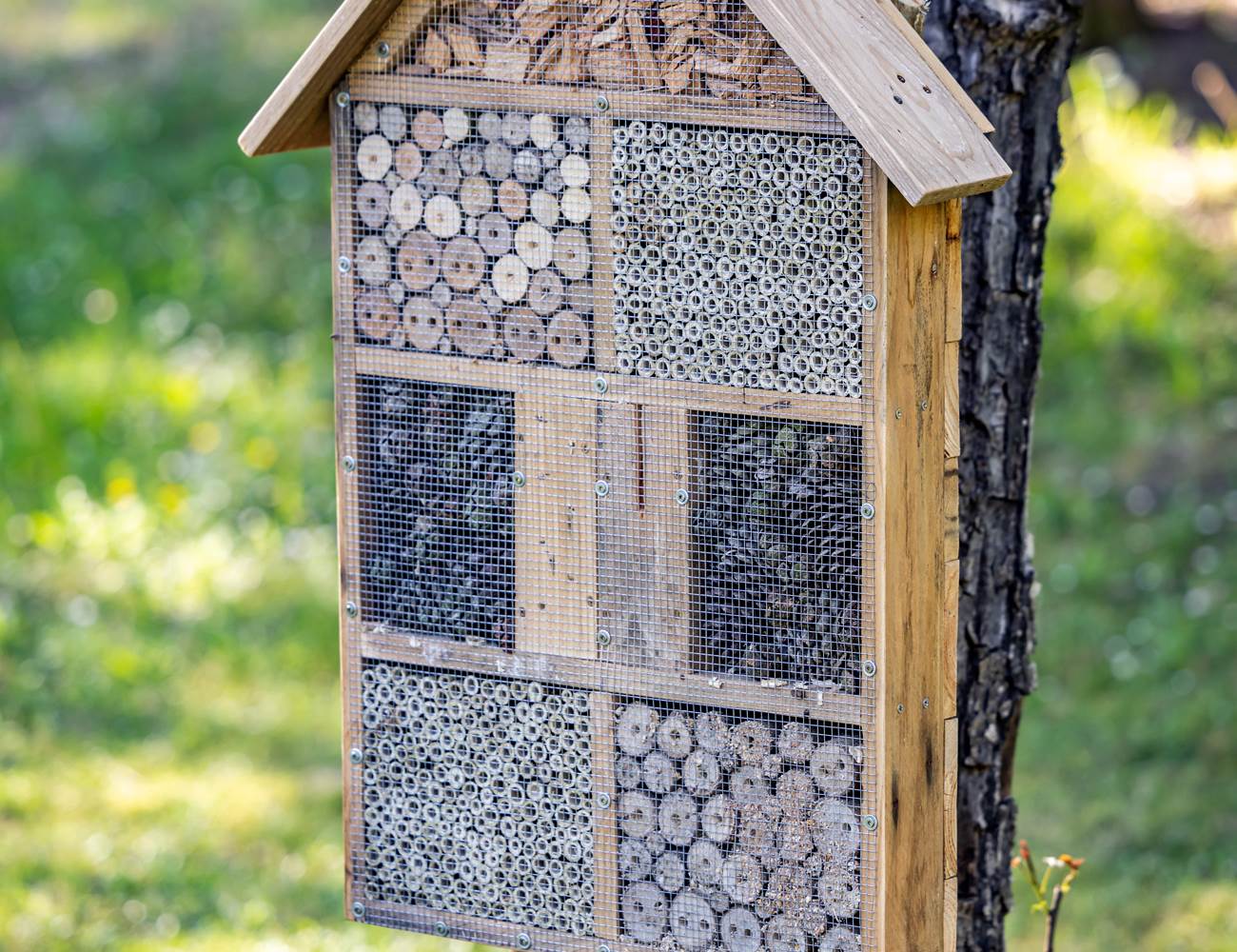 la Biodiversité une priorité au Hameau des Laurières-photo-gallery