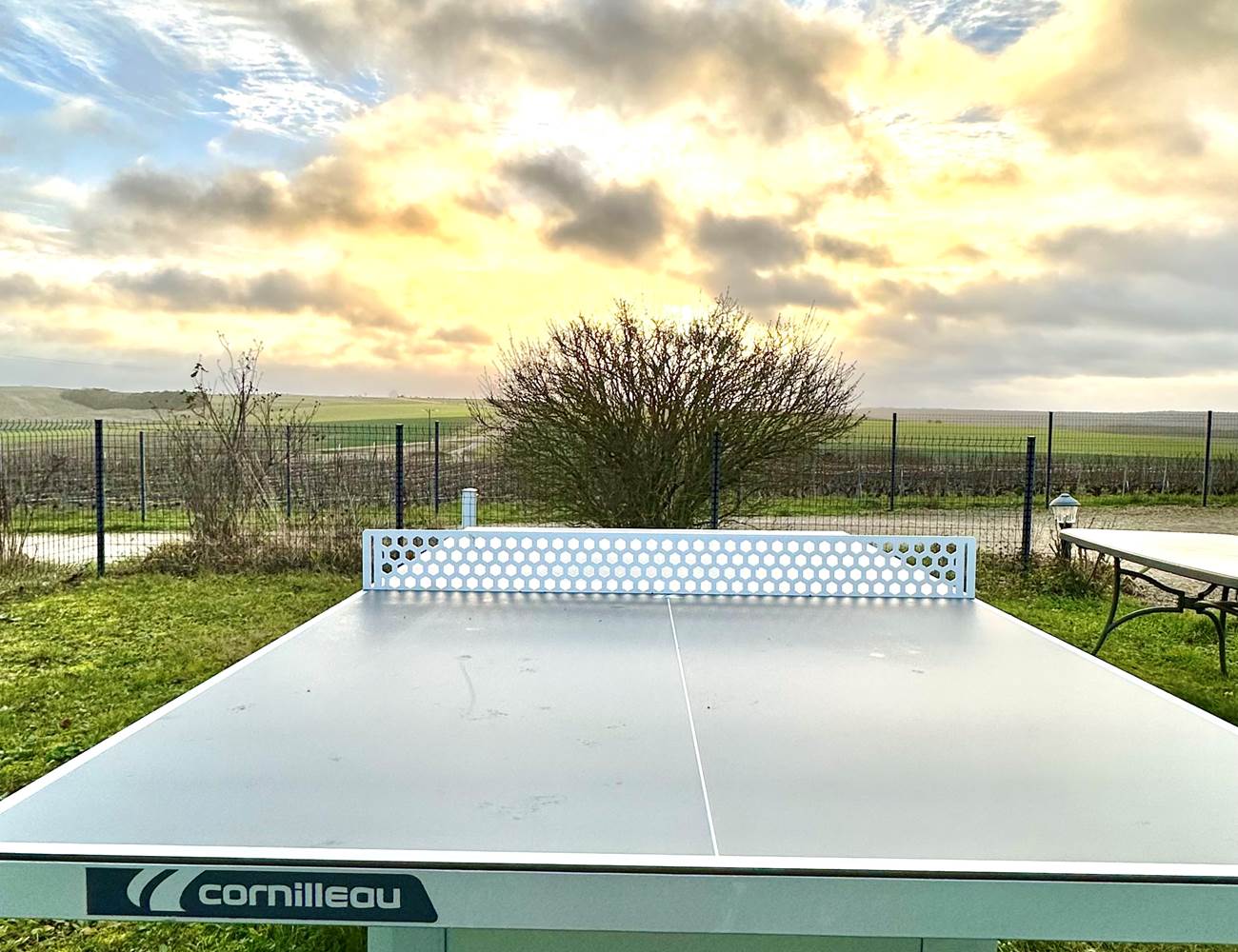 Ping pong-photo-gallery