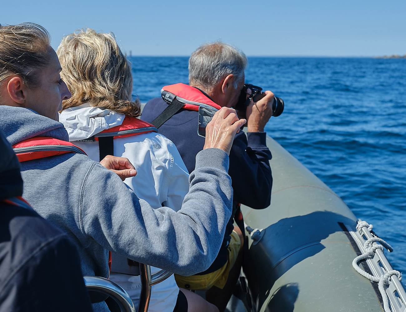 Semi-rigide ARKELOU, Promenade en mer, observations nature, Le Guilvinec