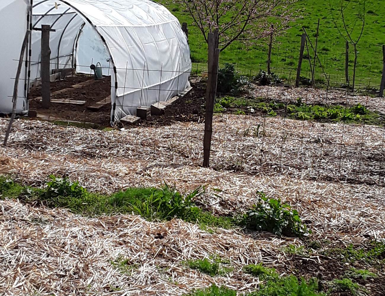 LE POTAGER S'EVEILLE-photo-news