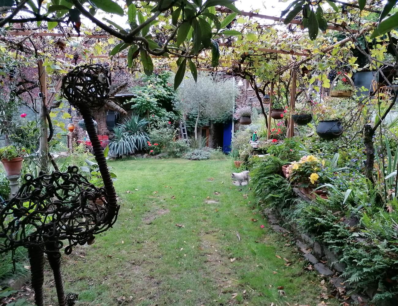 jardin-2-photo-gallery