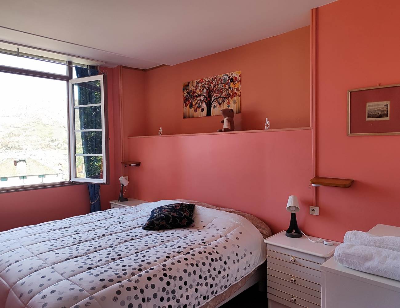 La chambre double vue montagnes-photo-gallery