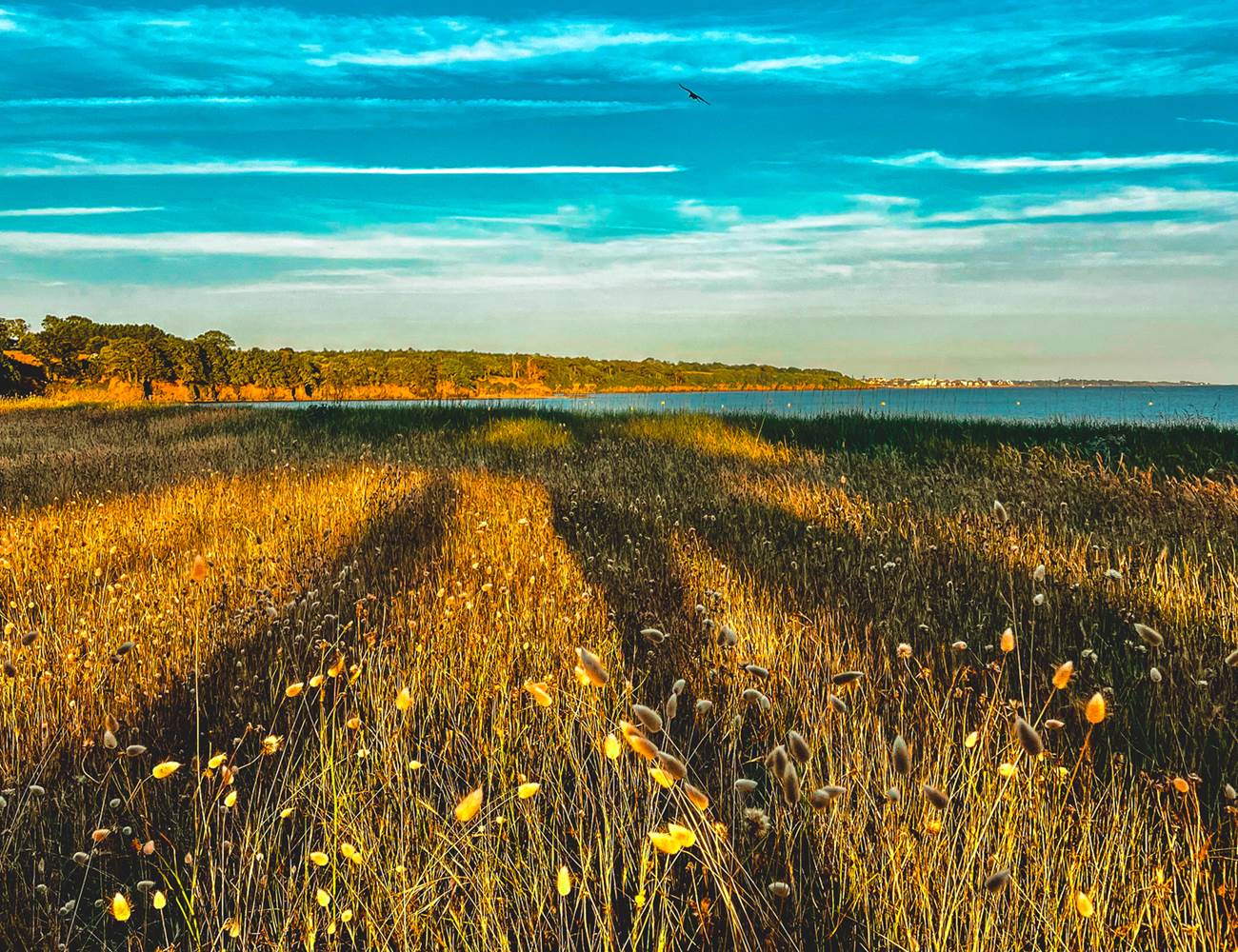 Coucher de soleil sur la plage de Kerleven La Forêt-Fouesnant-photo-page
