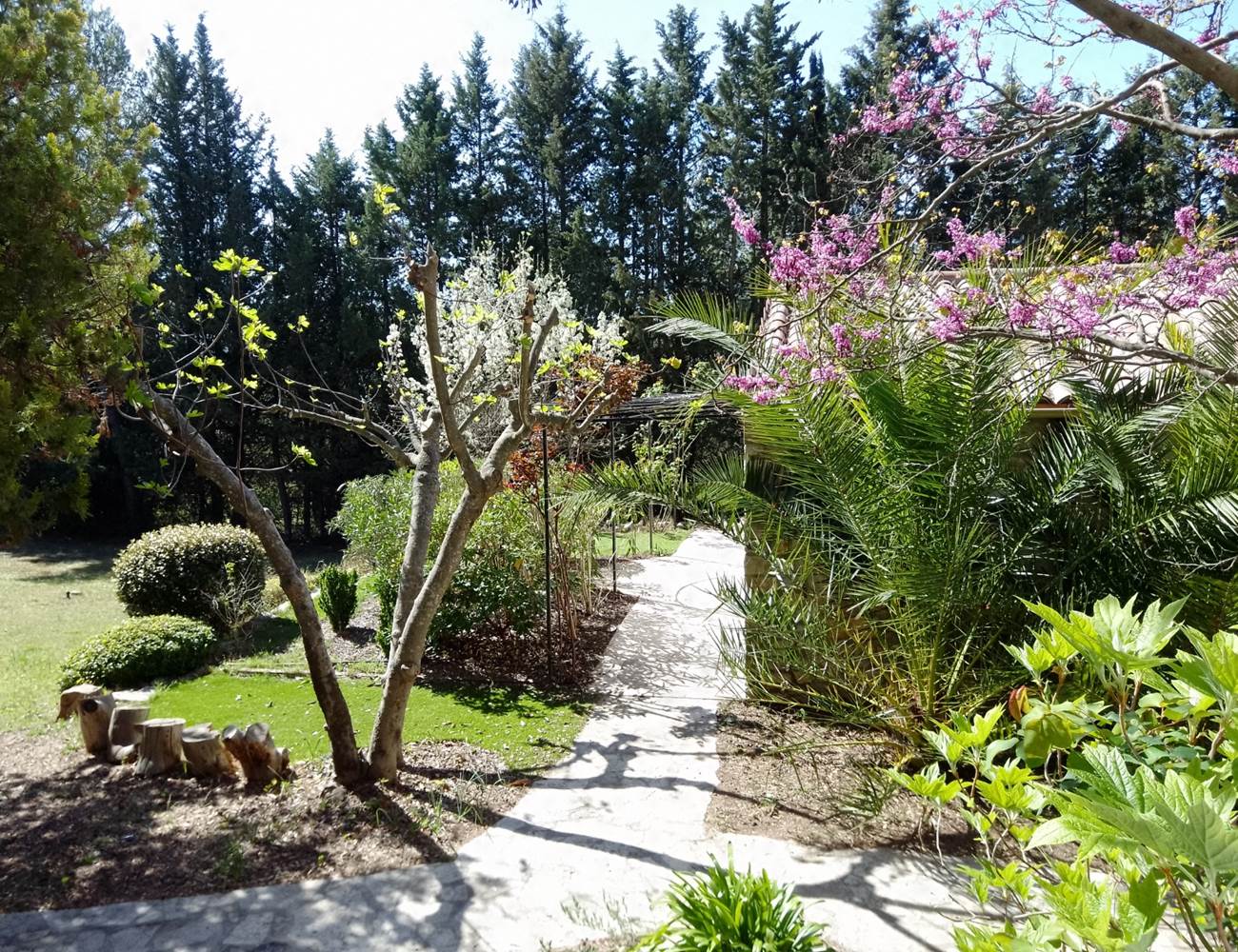 annexe+jardin-photo-gallery