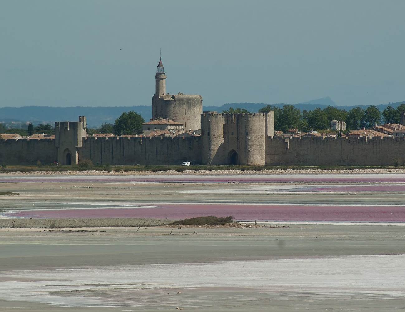 casadina-visits-camargue-aigues-mortes