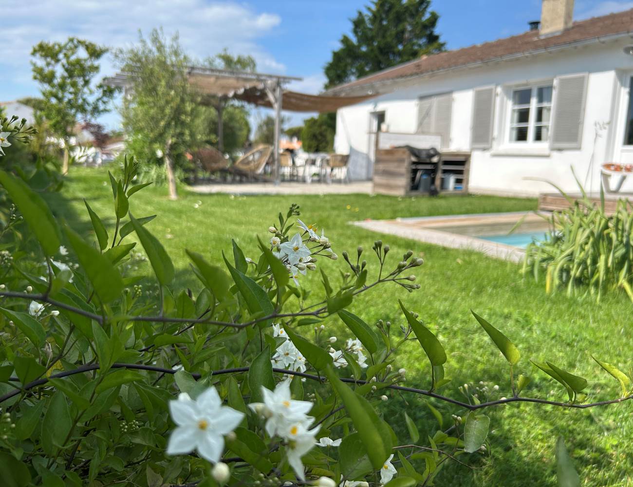 Sans titre-photo-page