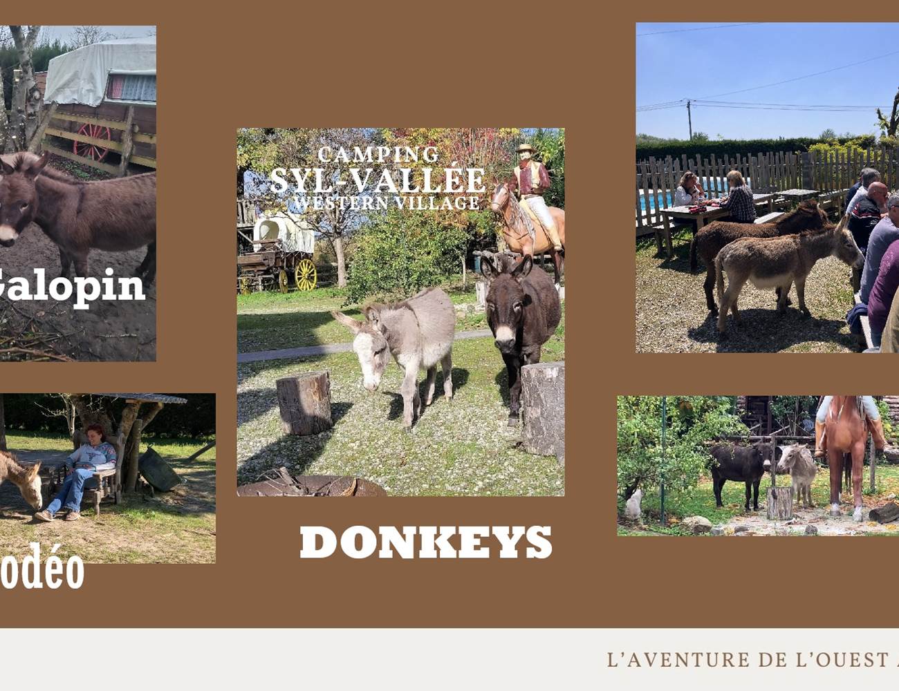 bookingdonkeys-photo-gallery