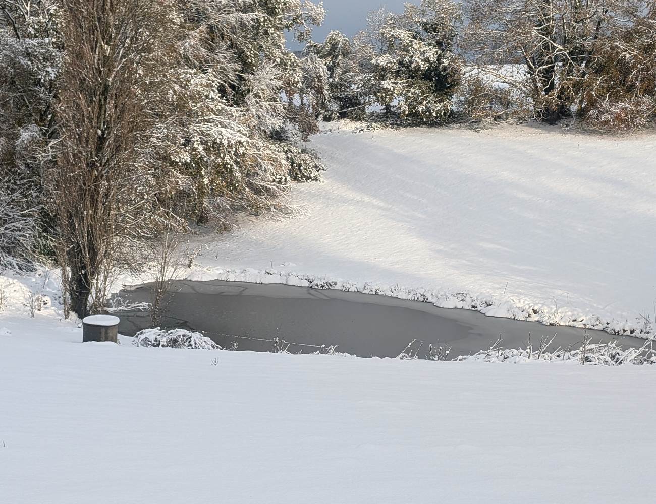 PXL_20241122_085140272.MP(1)-photo-gallery