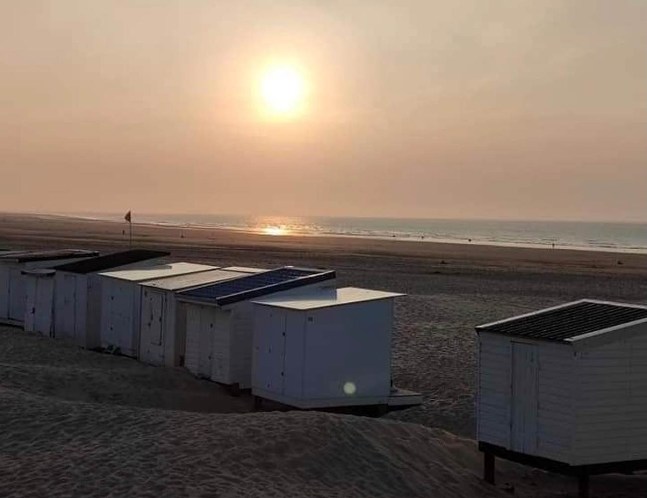 IMG_3331-photo-gallery