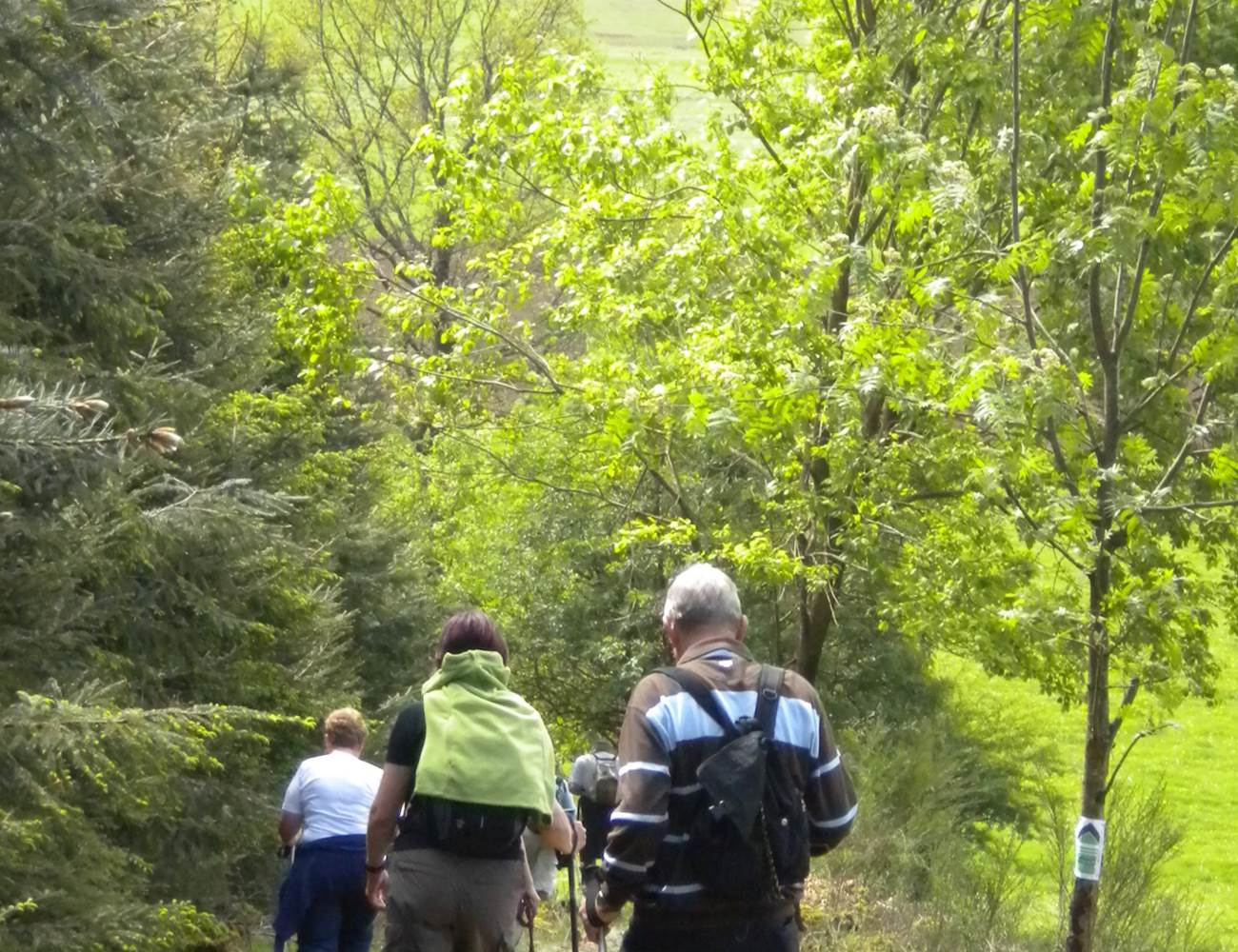 Terre de randonnée pour les marcheurs et VTT-photo-gallery